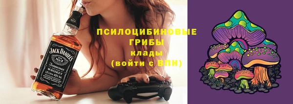 apvp Балахна