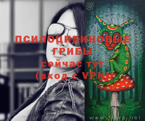 apvp Балахна