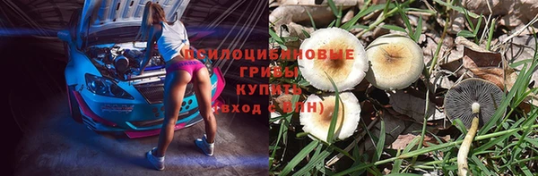 apvp Балахна
